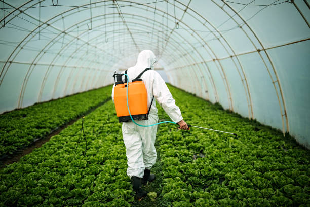 Best Pest Inspection Near Me  in Kapolei, HI