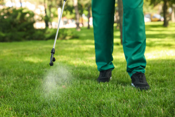 Best Wasp Removal Services  in Kapolei, HI