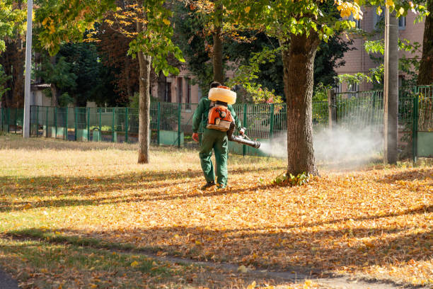 Best Wasp Removal Services  in Kapolei, HI